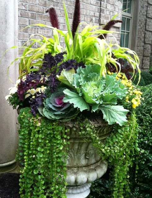 fall container ideas6