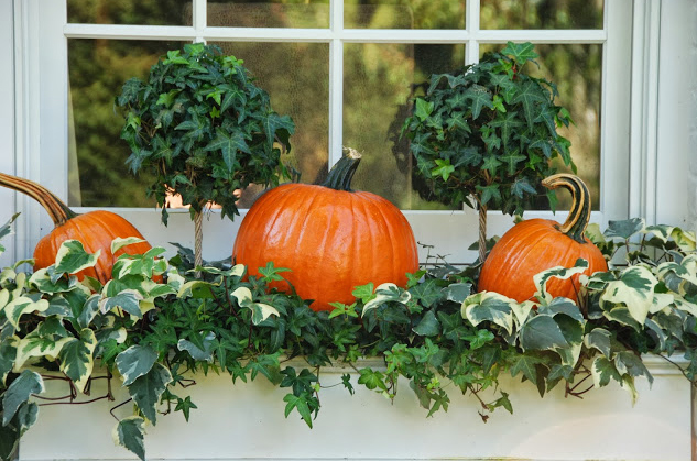 halloween planter ideas