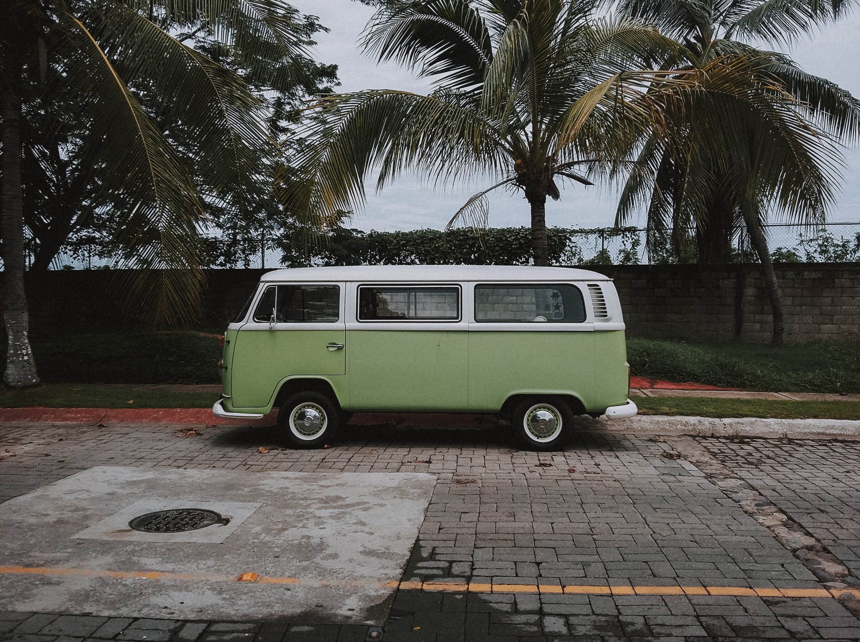 green volkswagen transporter van parked under coconut trees